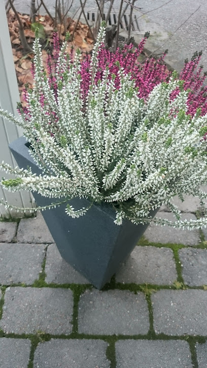 Elisabeth Ahlén | Skönhetscenter i Uppsala