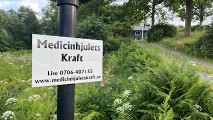 Medicinhjulets Kraft | Massös i Alingsås