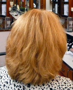 Forum Frisören | Frisörsalong i Västerås