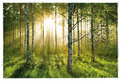 Naturally Beautiful | Skönhetscenter i Lerberget