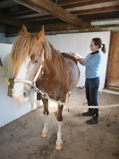 For Din Hast | Massös i Staffanstorp