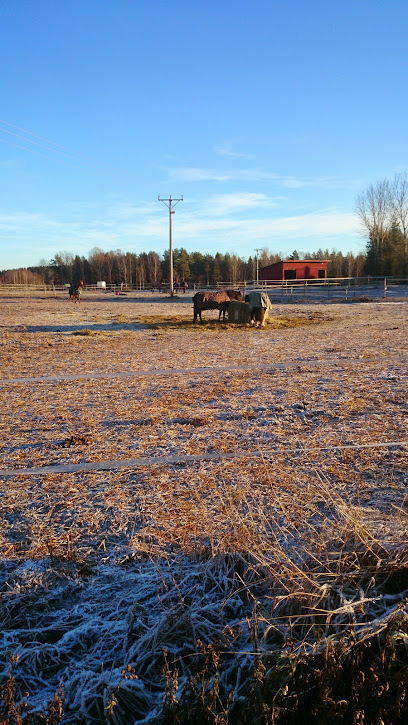 Maddes Frisyr & Dressyr | Frisörsalong i Hedemora