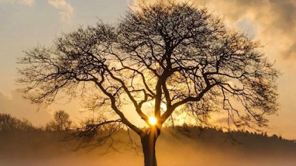 Lifecare Eskilstuna | Massös i Eskilstuna