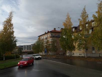 Shape Your Beauty Sweden | Skönhetscenter i Östersund