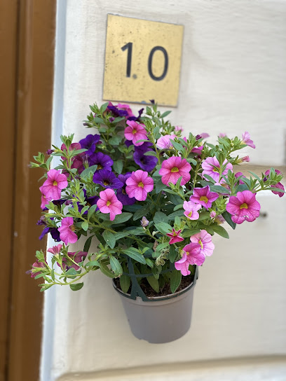 Nail Sonia & Beauty | Manikyr och pedikyrsalong i Stockholm