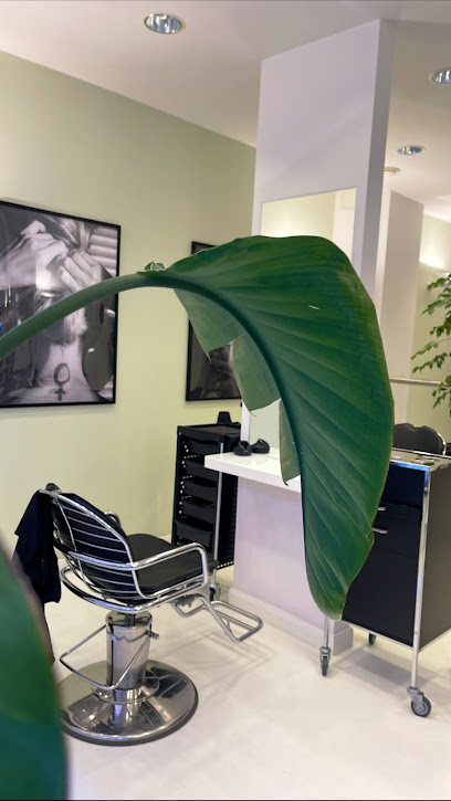 Salong 39Clipp | Frisörsalong i Göteborg