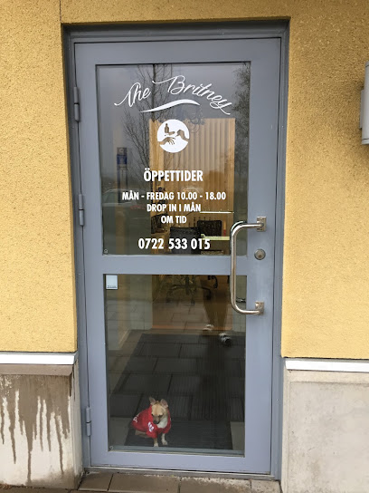 The Britney AB | Skönhetscenter i Göteborg