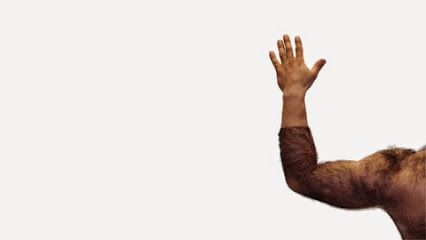 Expilo | Skönhetscenter i Göteborg