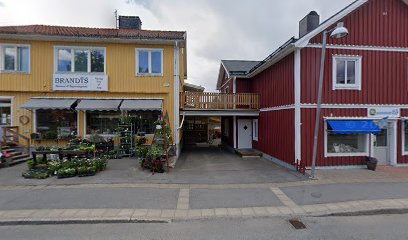 Gumman To | Massös i Vindeln