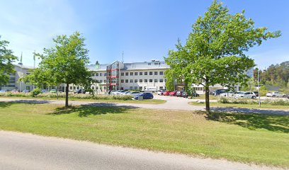 Holistic Touch | Massös i Gävle