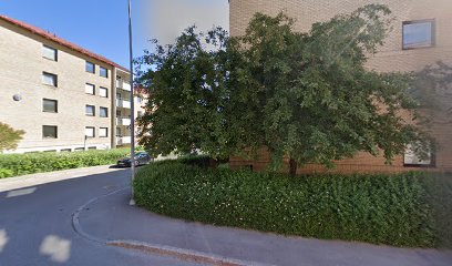 Jelena Massage | Massös i Södertälje
